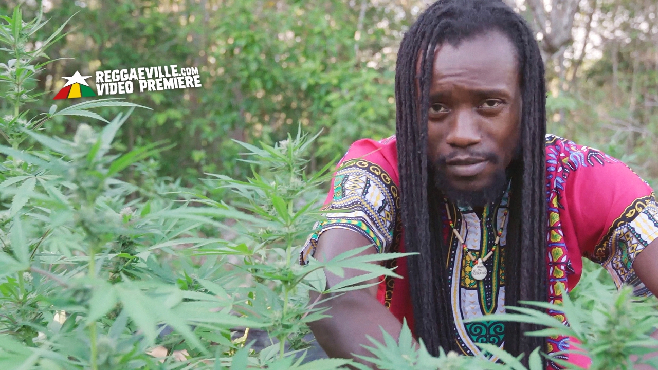 Zamunda - Get High [Official Video 2017]
