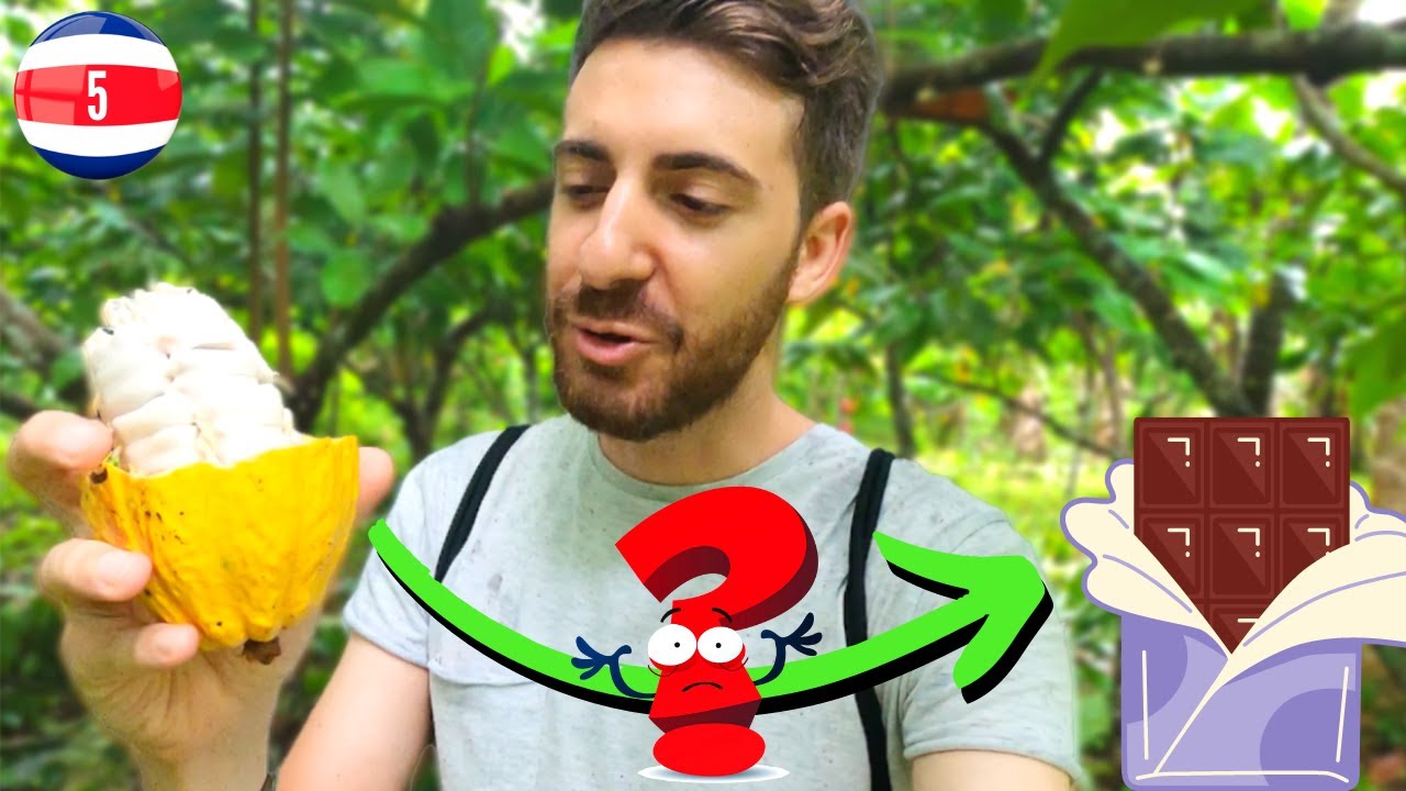 Se mangi il CIOCCOLATO ringrazia le Z**Z***! | Costa Rica Ep.5