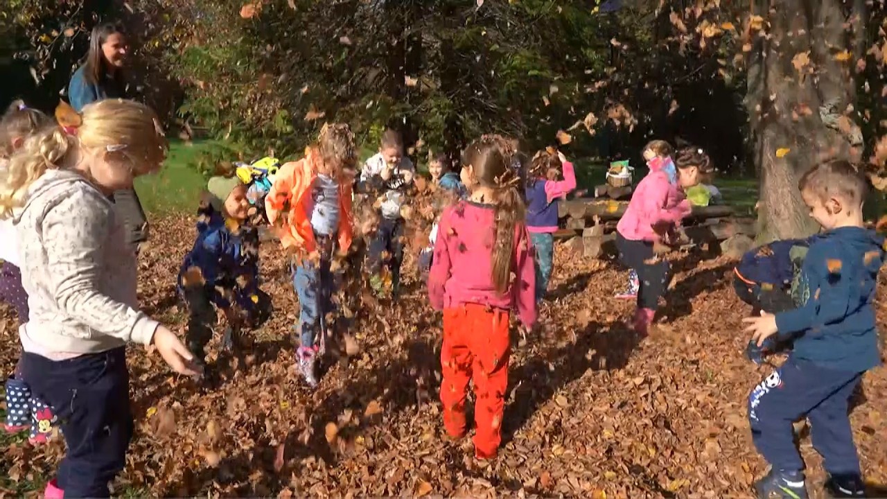 Zöld Óvoda címet nyert a Pápai Városi Óvodák Székhely Óvodája