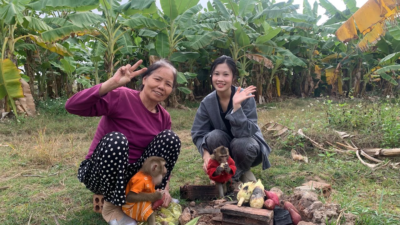 Шокирующий момент: семья Ламбо воссоединилась с семьей Наху после долгого отсутствия!