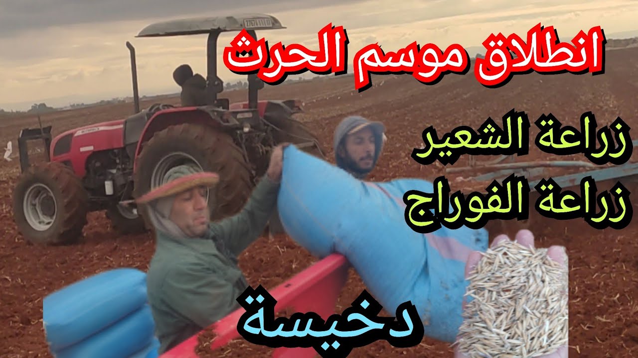 انطلاق الموسم الفلاحي الجديد بعملية الحرث والزراعة كل من الشعير والفوراج بمنطقة دخيسة مكناس 