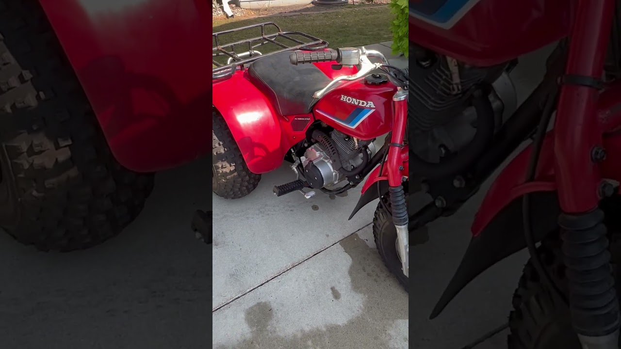 1983 Honda atc 200 #mntrikes