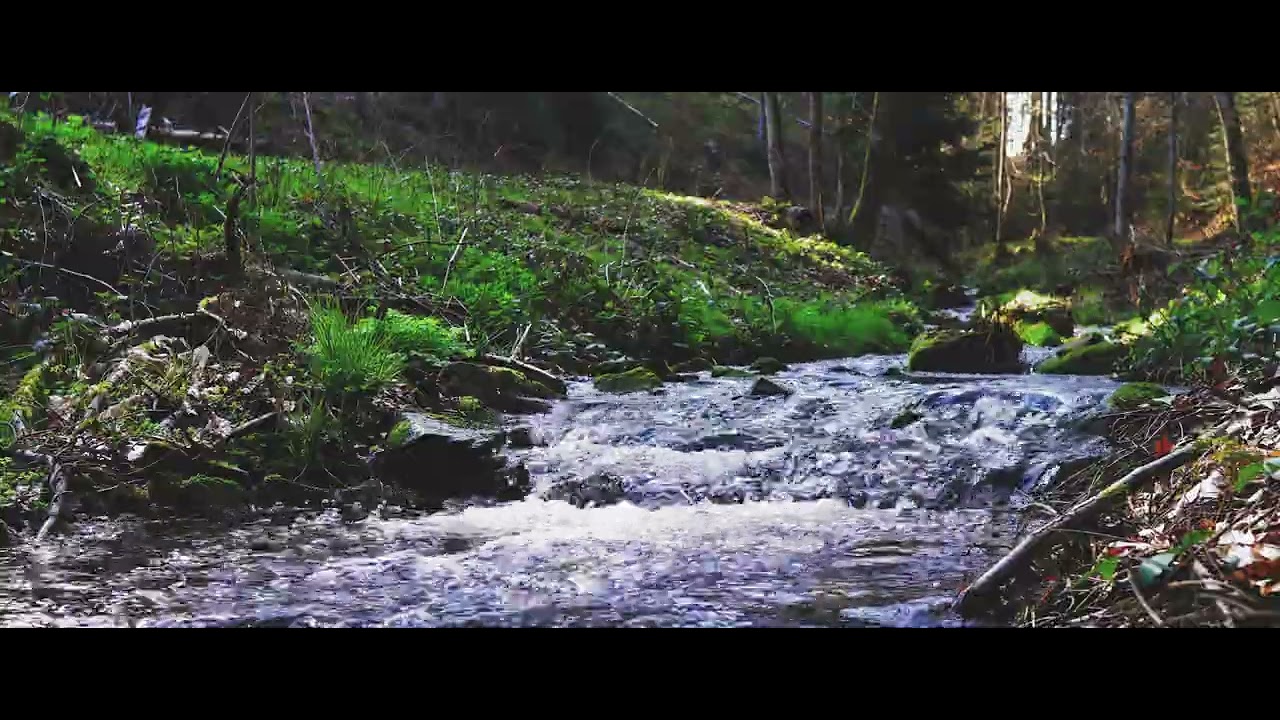 Black Forest -  Rest at the Splashing Forest Stream