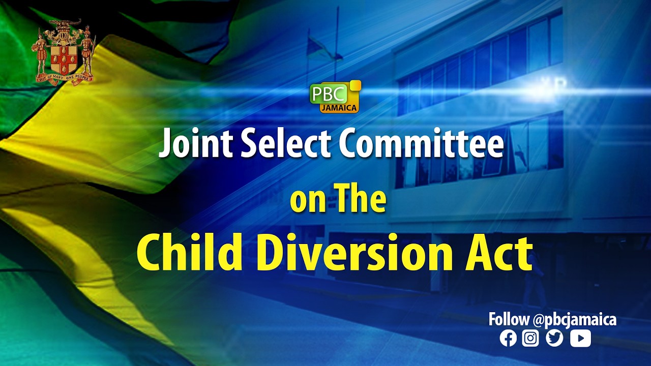 Joint Select Committee on the Child Diversion Act || February 24, 2026