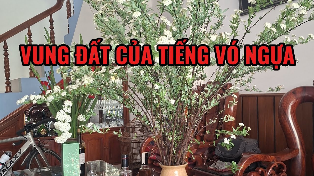 VÙNG ĐẤT CỦA TIẾNG VÓ NGỰA. KÝ SỰ CỦA NHÀ BÁO TRẦN THANH HƯNG