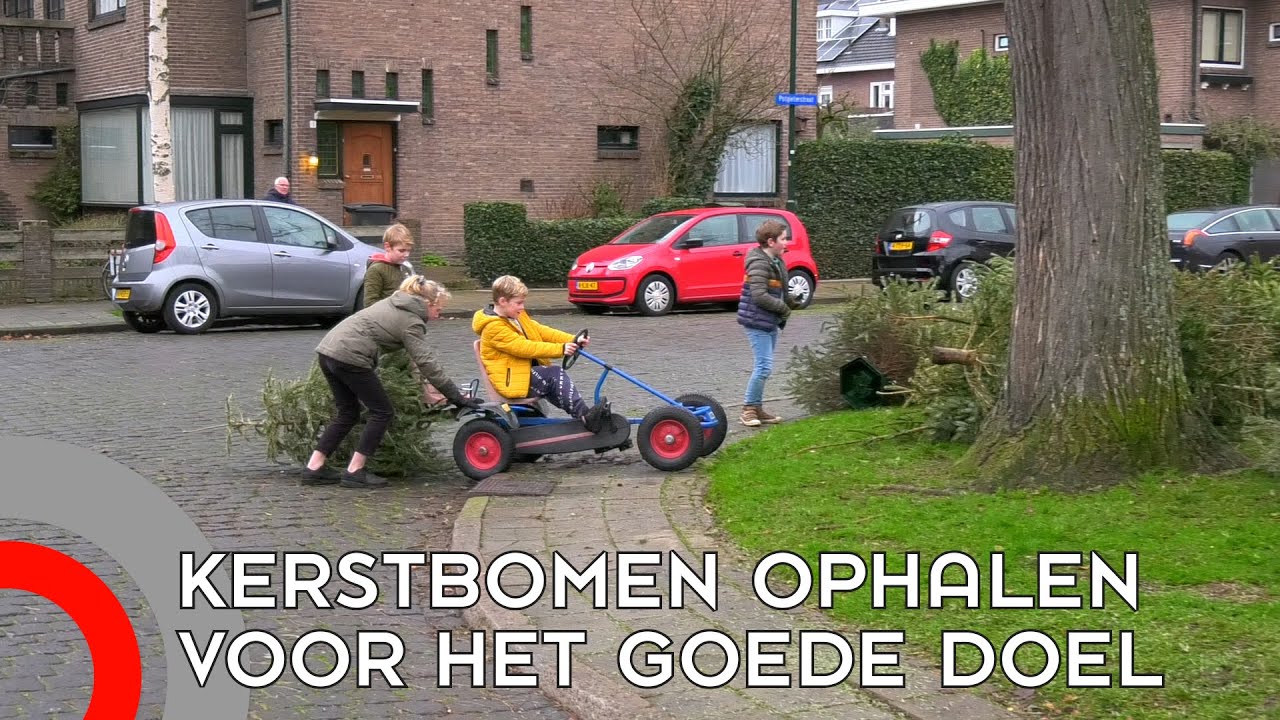 Feline en Julian halen kerstbomen op voor goede doel