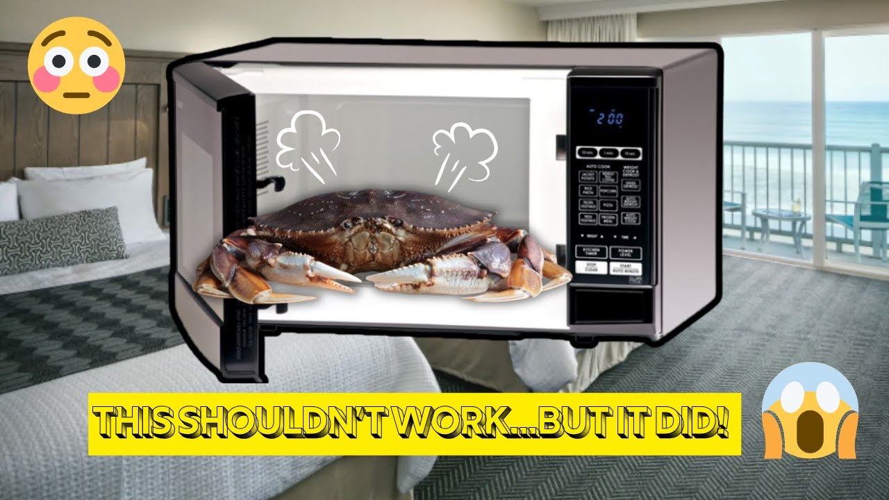 Приготовьте краба в микроволновке — и результат вас шокирует!