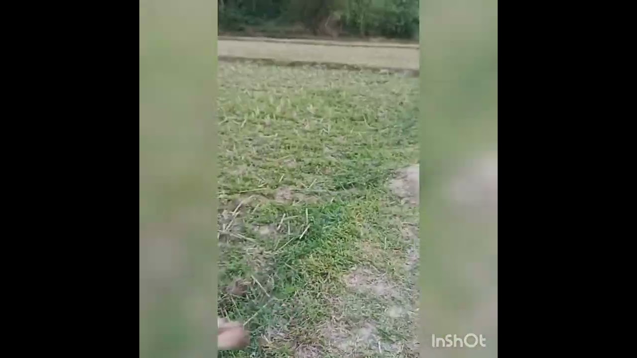 kuphur ti bai kosomti berailai nokgo kifilkha phg 😀😀😀
