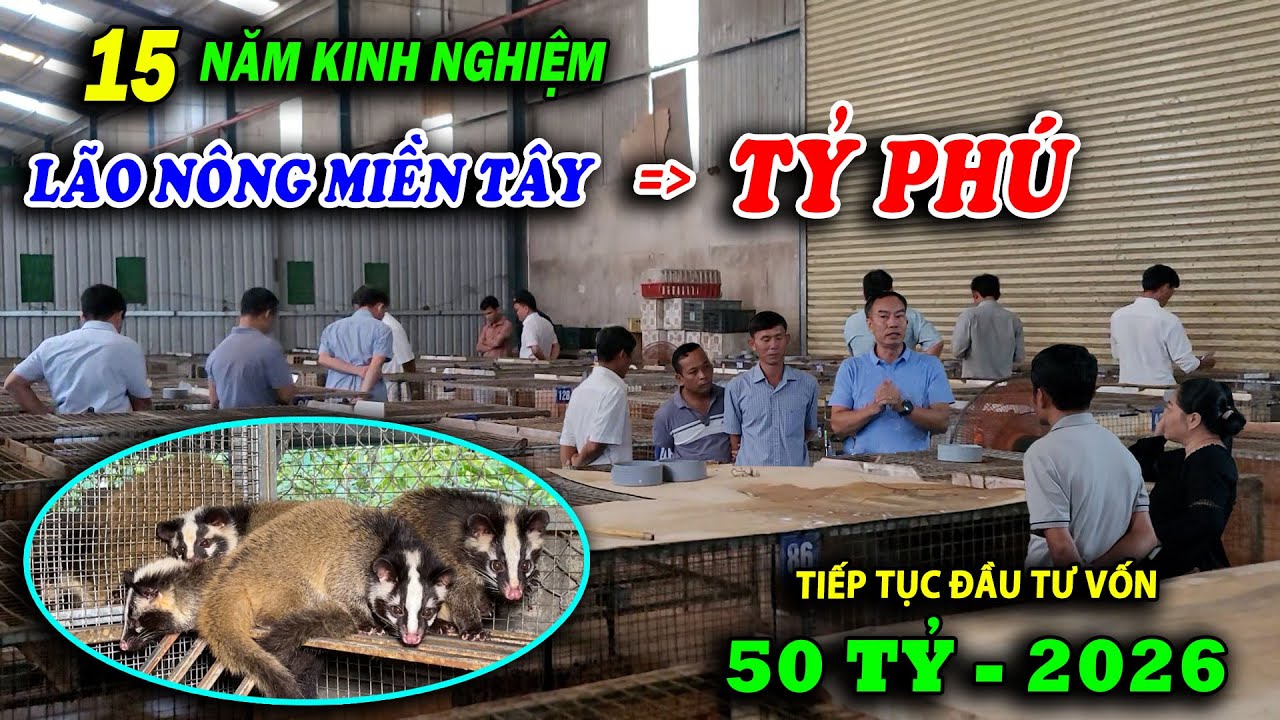 15 NĂM KINH NGHIỆM, LÃO NÔNG MIỀN TÂY TRỞ THÀNH TỶ PHÚ CHỒN MỐC | CHĂN NUÔI VIỆT