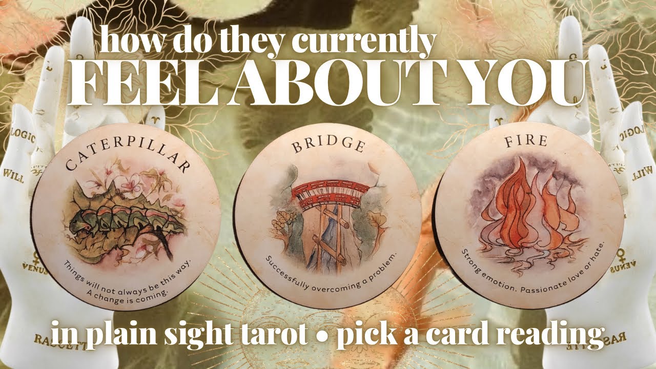 PICK A CARD: HOW DO THEY CURRENTLY FEEL ABOUT YOU?