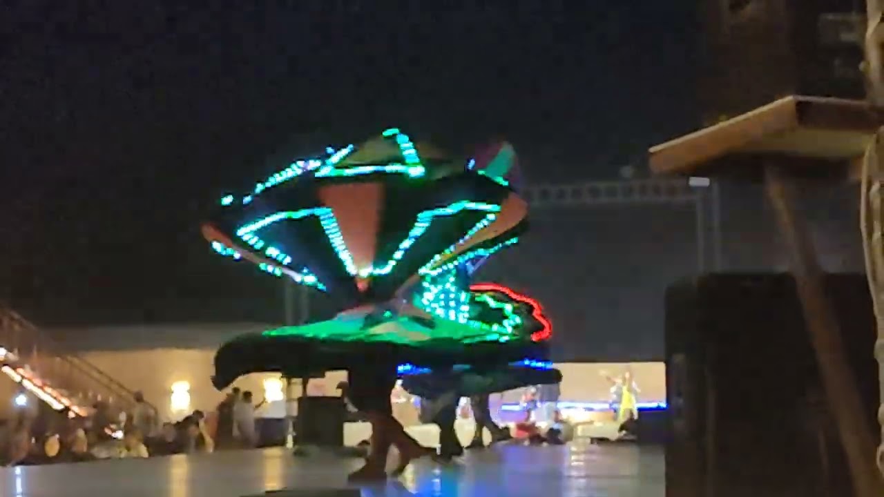 Safari Night Dance
