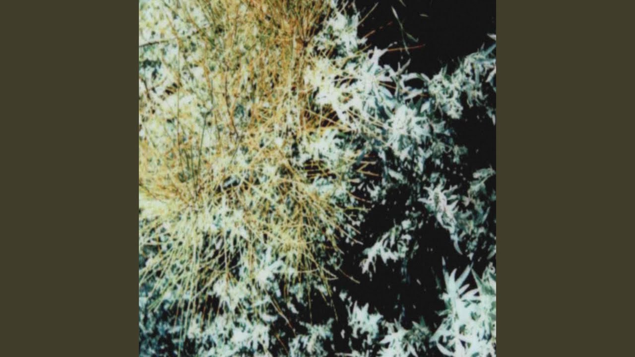 Tide Over