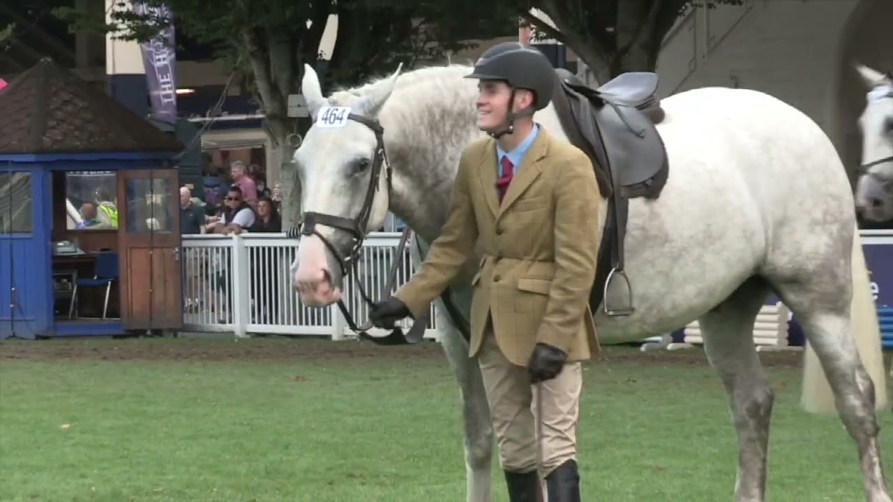 Class 17 No 73 Louise Lyons Lady Perdita Blackwood's 