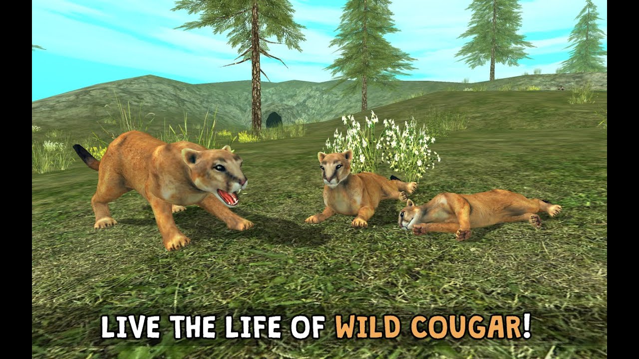 #Wild Cougar Simulator 3D - By Turbo Rocket Games Simulation - iTunes/Google Play