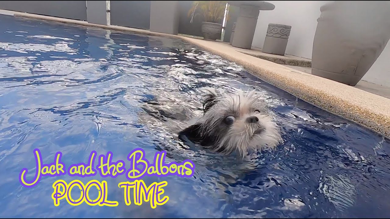 Jack and the Balbons swimming session