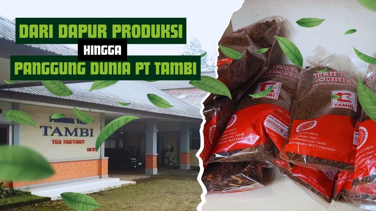 Откройте для себя мир PT Tambi: от производственной кухни до мировой арены (Эпизод II)