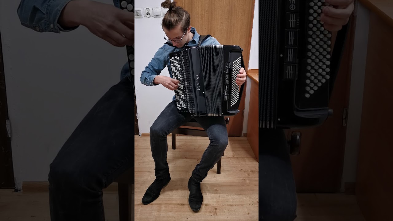 Pigini master po serwisie w  Naprawa & Strojenie Akordeonów               798-123-474