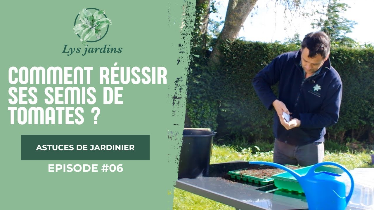 Comment r&eacute;ussir ses semis de tomates ?