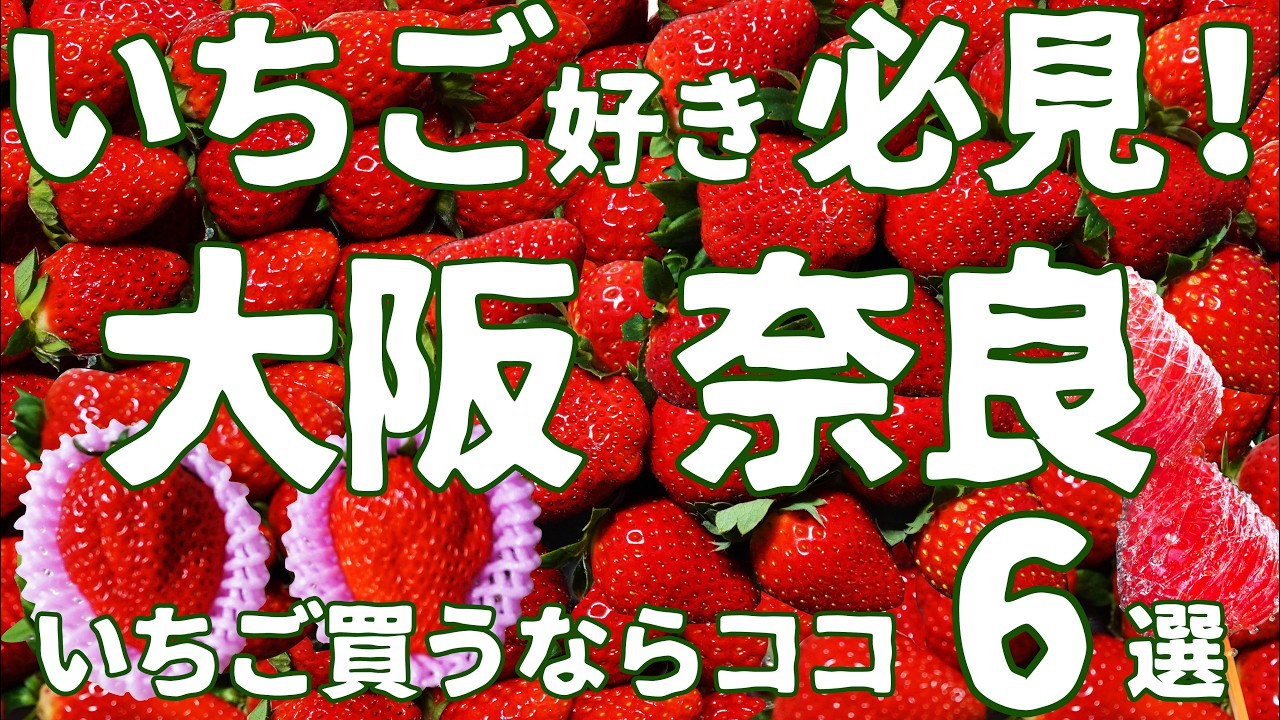【大阪 奈良 グルメ】いちご好き必見！大阪 奈良のイチゴ直売所🍓買うならココ ６選✨✨【直売所】