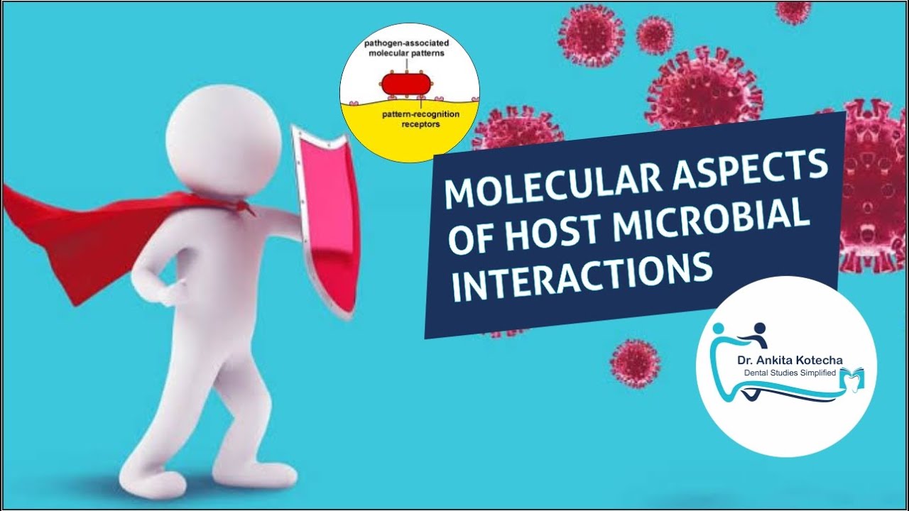MOLECULAR ASPECTS OF HOST MICROBIAL INTERACTION/PART 1/MAMPs/PAMPs/PRRs/TLRs/NLRs/DR. ANKITA KOTECHA