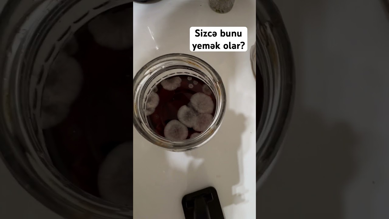 K&uuml;flənmiş m&uuml;rəbbənin &uuml;z&uuml;n yığıb yemək olar? #kəşfet #evdarxanimlar #m&uuml;rəbbə #evvlog #kəşfetəd&uuml;ş