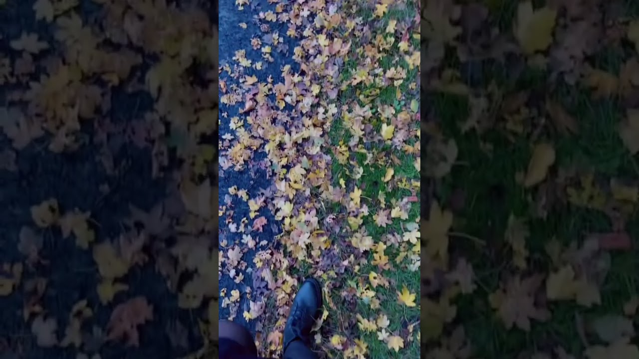 آمدی  جانم به قربانت ولی حالا چرا🥺🫂🖤❤️💚🇦🇫