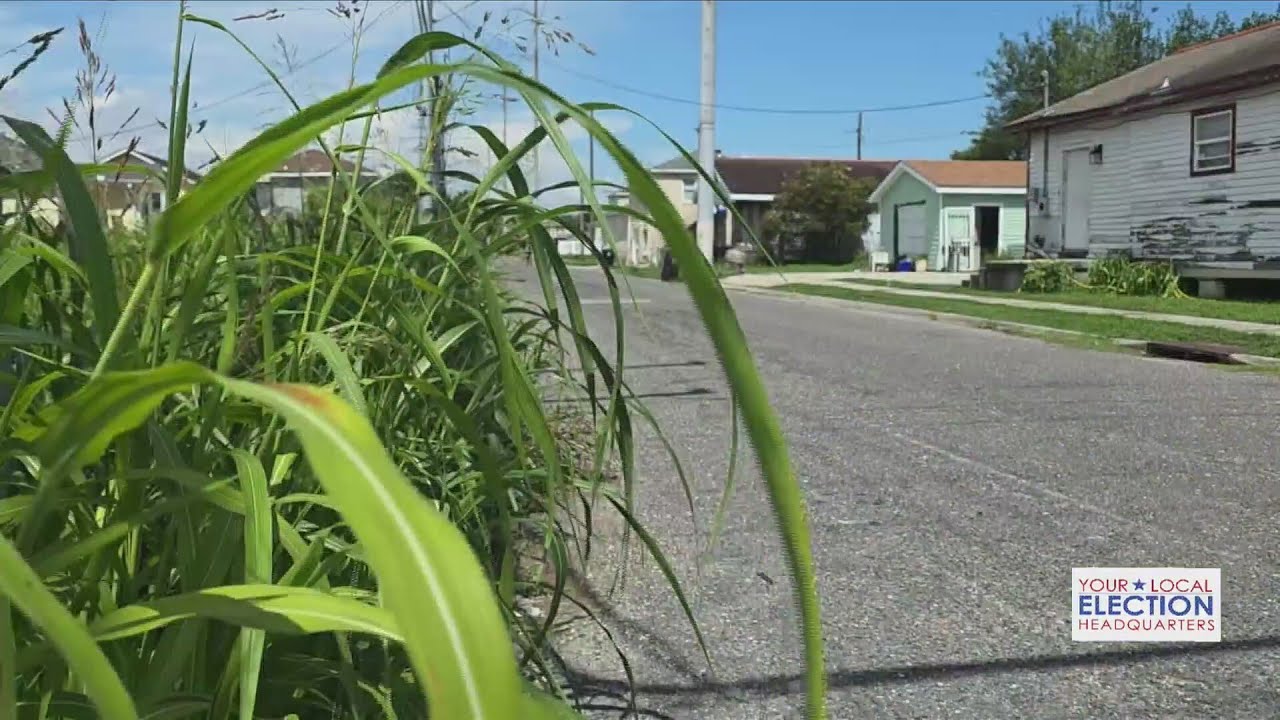 Neglected, overgrown properties in New Orleans raising public safety concerns