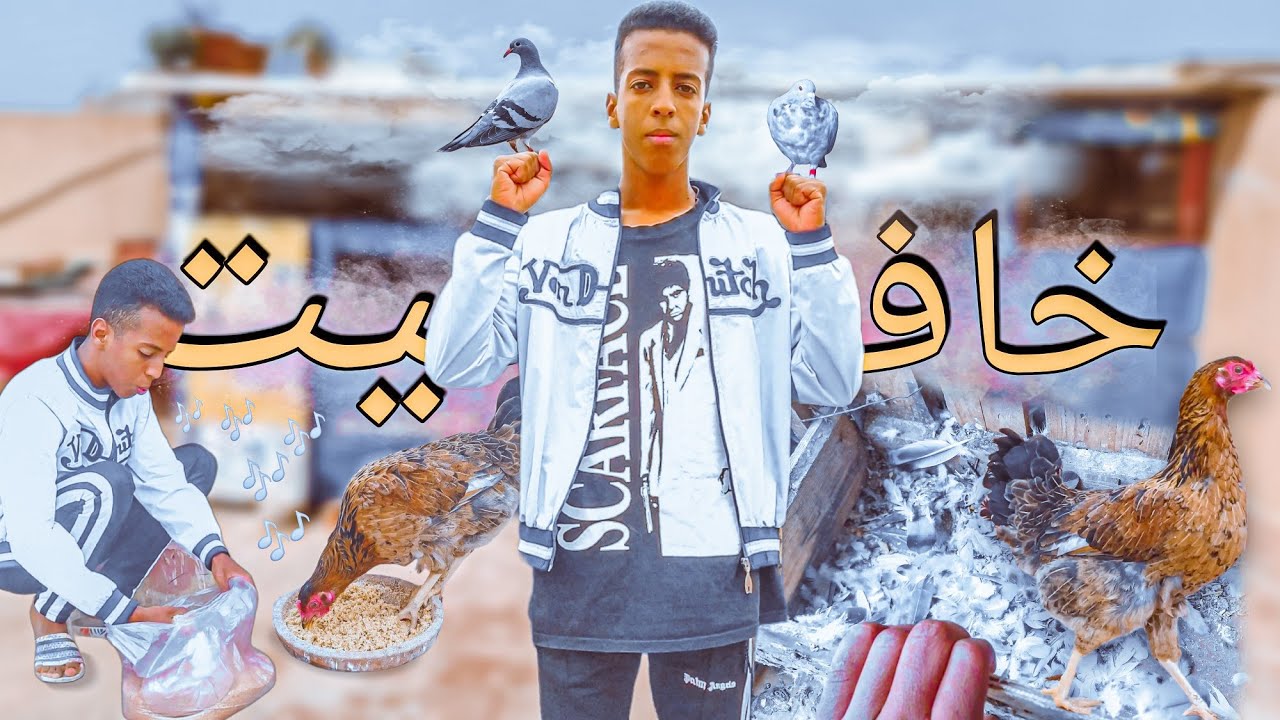 عدنا من جديد 🔥 إعطاء الأكل للحمام 🕊️ و للدجاجة 🐓  + السجنة الجديدة مع أيوب خافيت 🌹