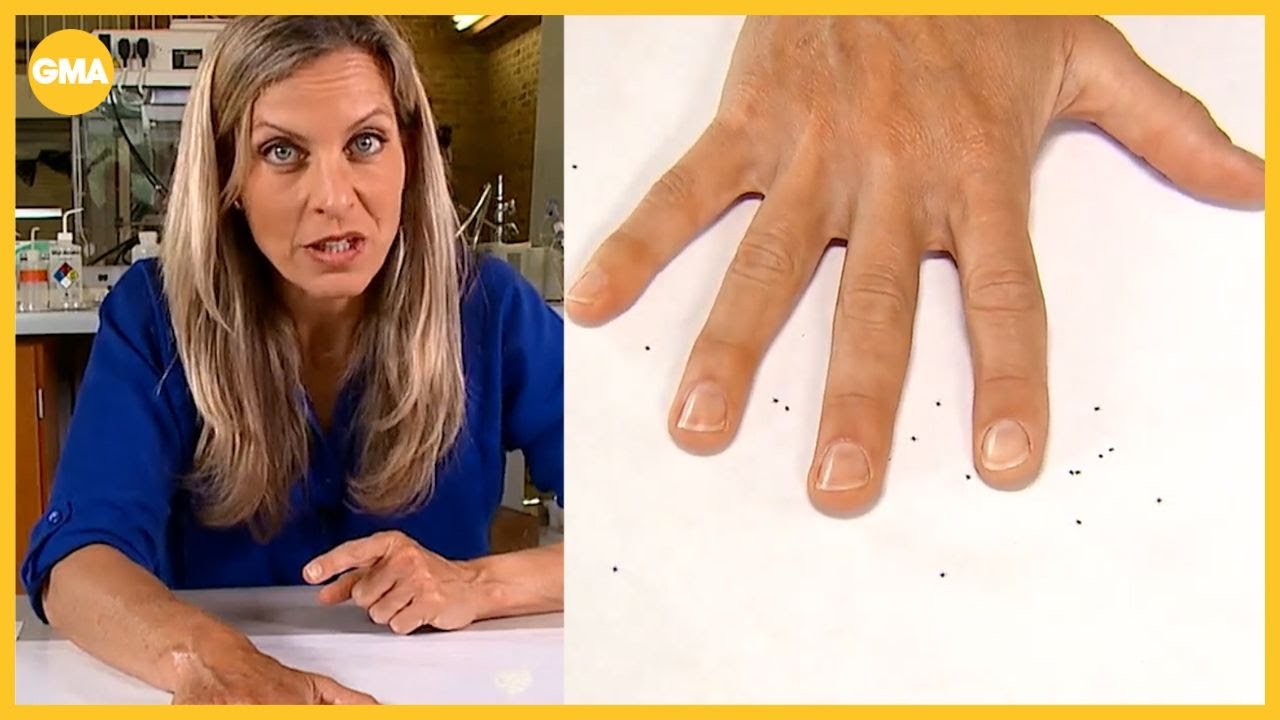 I let ticks crawl on me to test DEET vs. natural insect repellents. Here's what we found