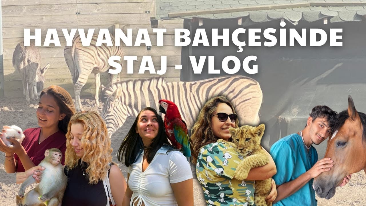 Hayvanat Bahçesinde Staj | Vlog