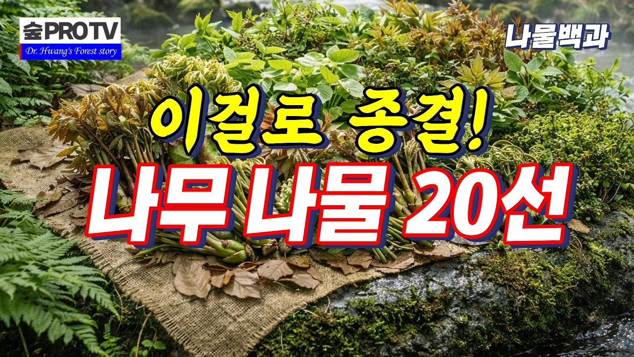 대표 나무 나물 20선