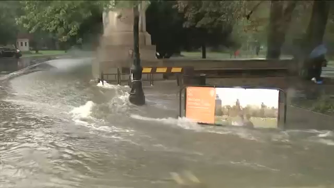 Brooklyn residents react to Friday's historic storm and flooding