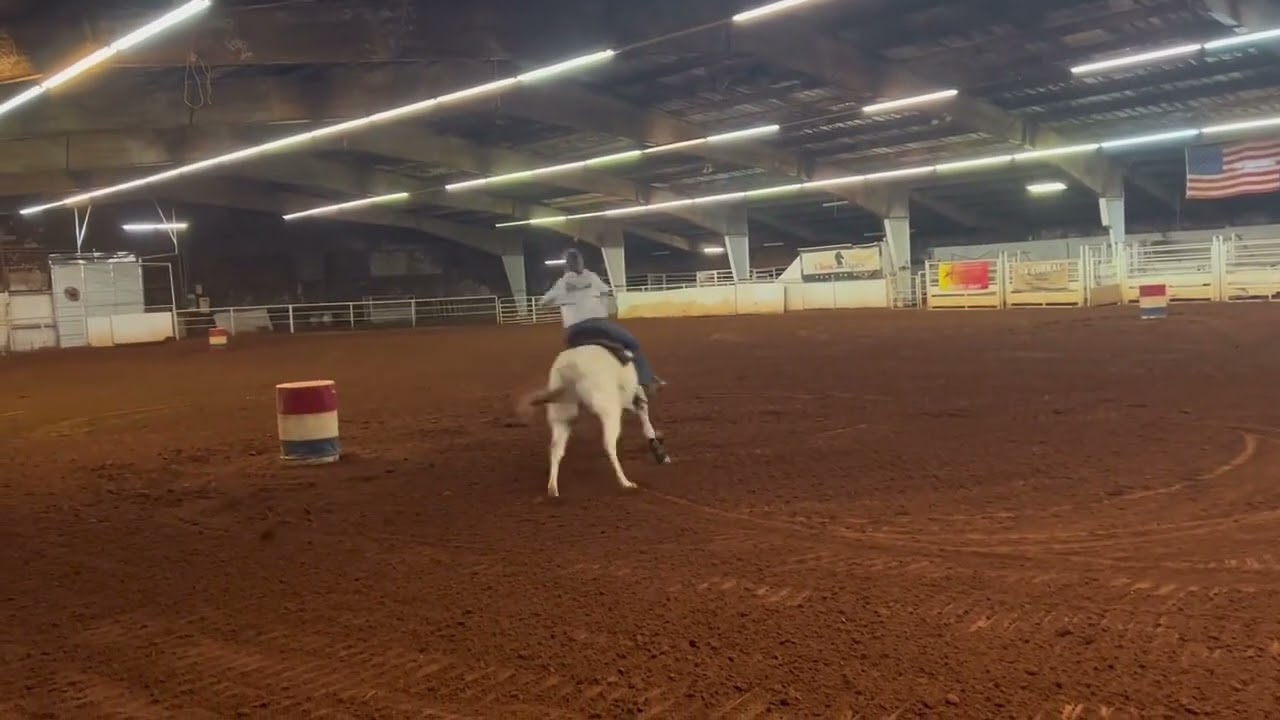 #teamhoneybadger #maddiemoo #oklahoma #harrah #barrelracersoftiktok #oklahomacheck #