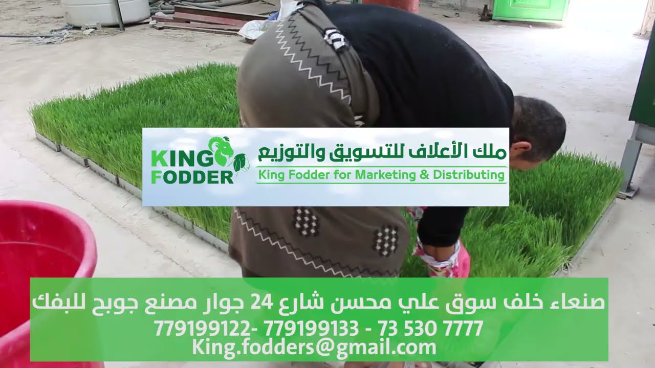 إنتاج معدل طن من الأعلاف في منزلك او مزرعتك يومياً : فقط في اليمن