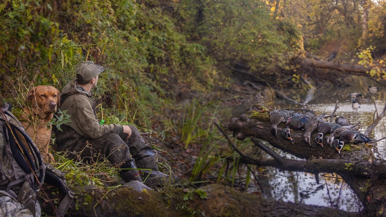 2 Man Wood Duck LIMIT | TINY SWAMP