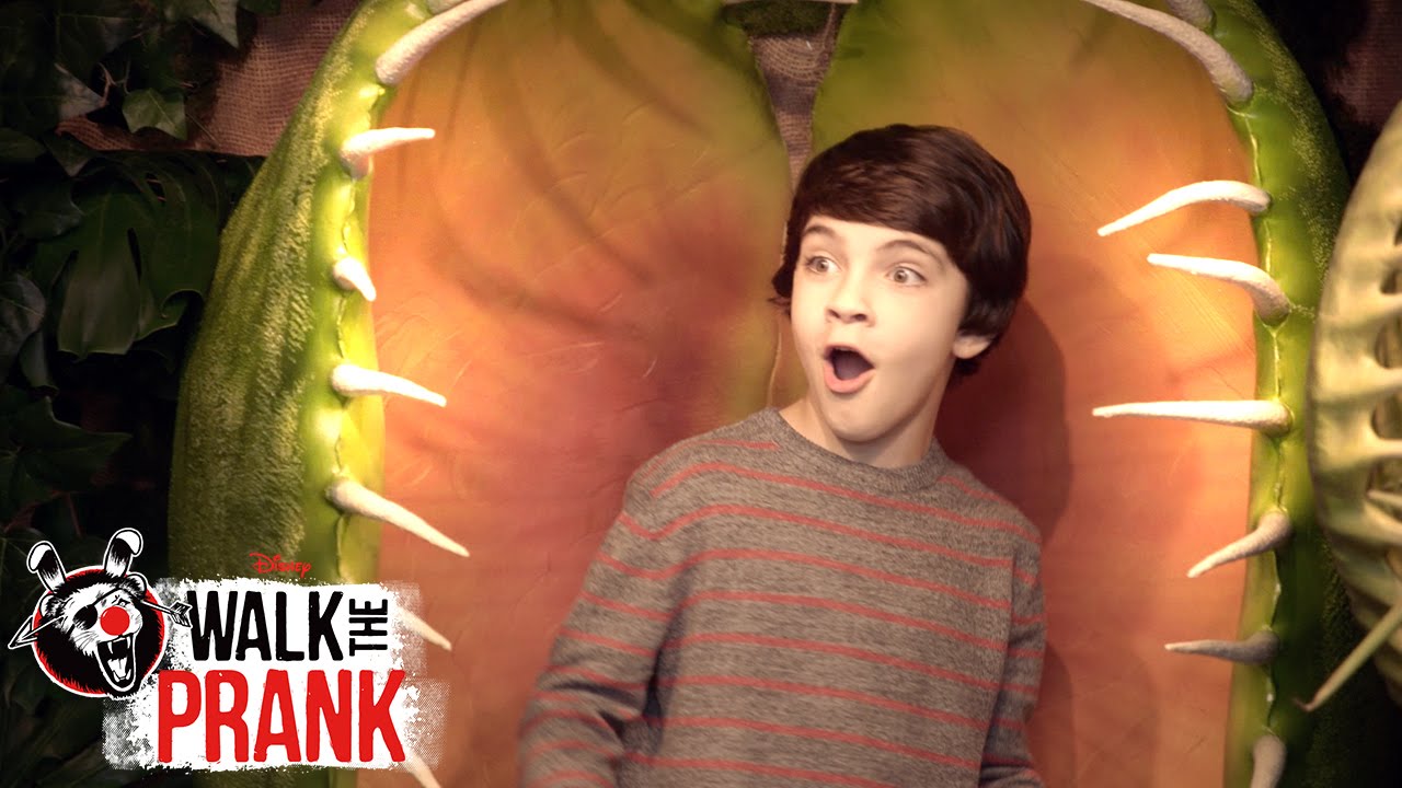 Plant Attack 🪴😨 | Walk the Prank | 