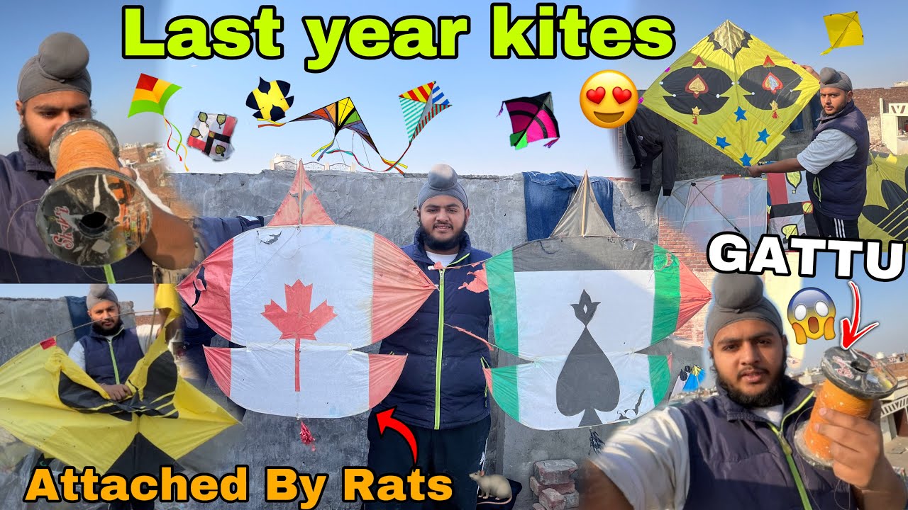 Last year kite collection ￼🤩 || ￼Shakti Gattu last year 😱|| Kite Attached By rats 🐀🥺 ||