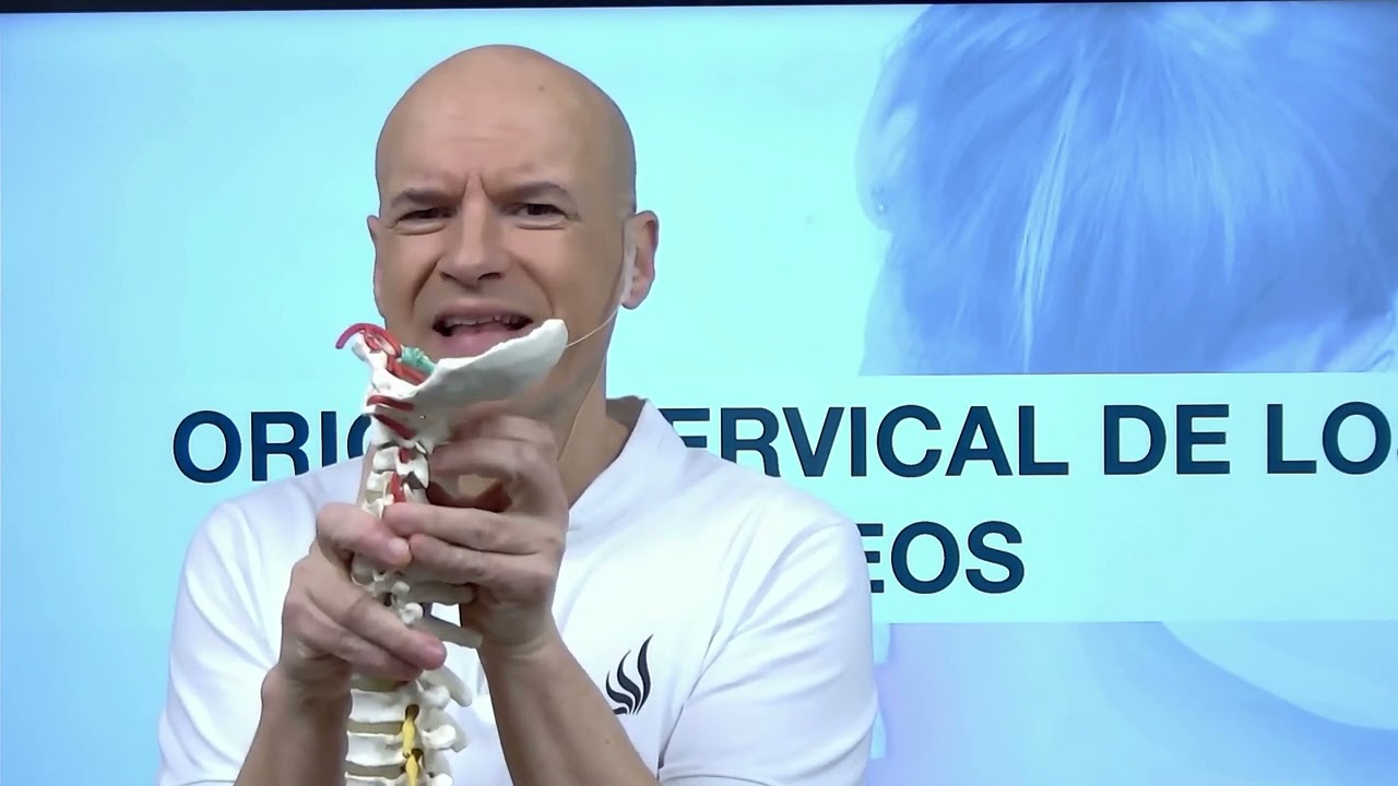 🤔¿Cómo saber si el VÉRTIGO es de ORIGEN CERVICAL 🆘
