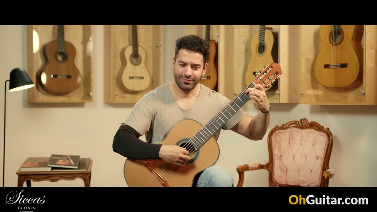 Wolfgang Jellinghaus Conservatory Classical Guitar - review