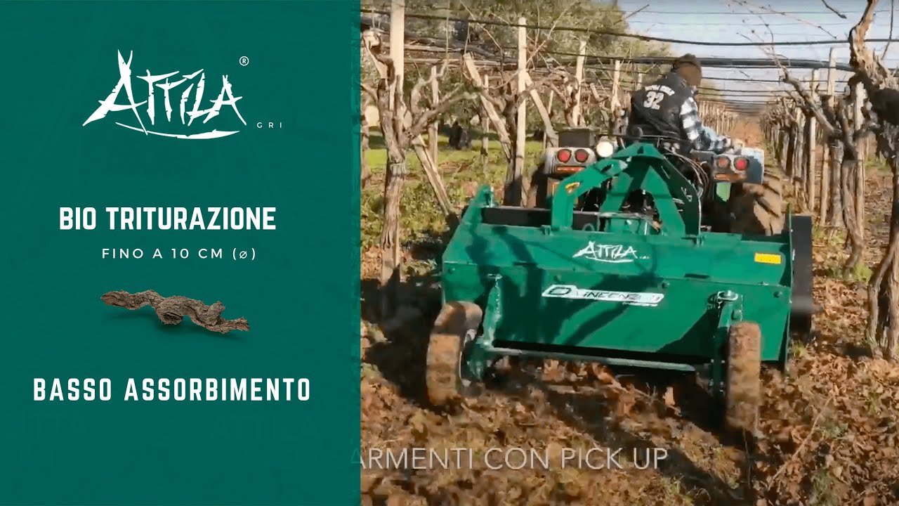 Trinciasarmenti Attila® - Raccoglitore