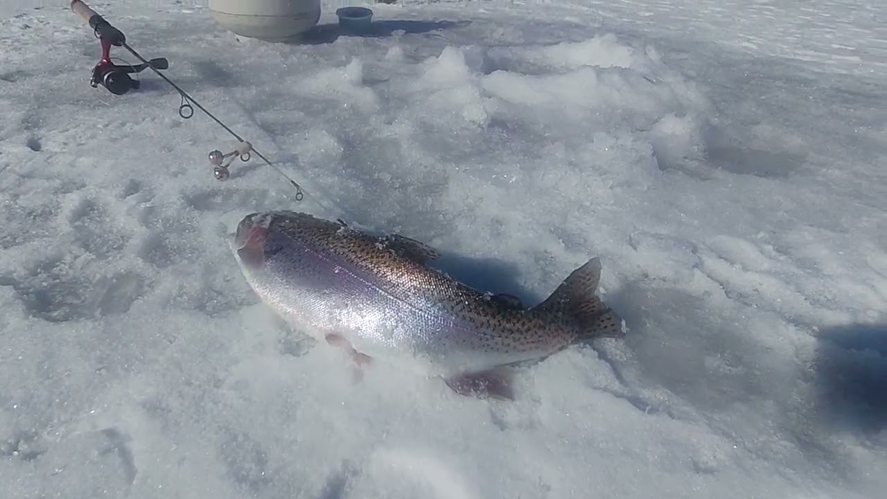 Morning Rainbows at Scofield  Res..