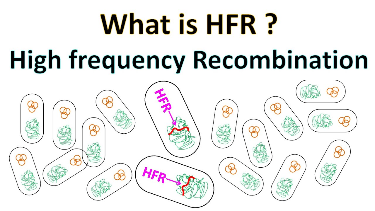 HFR | High Frequency Recombination