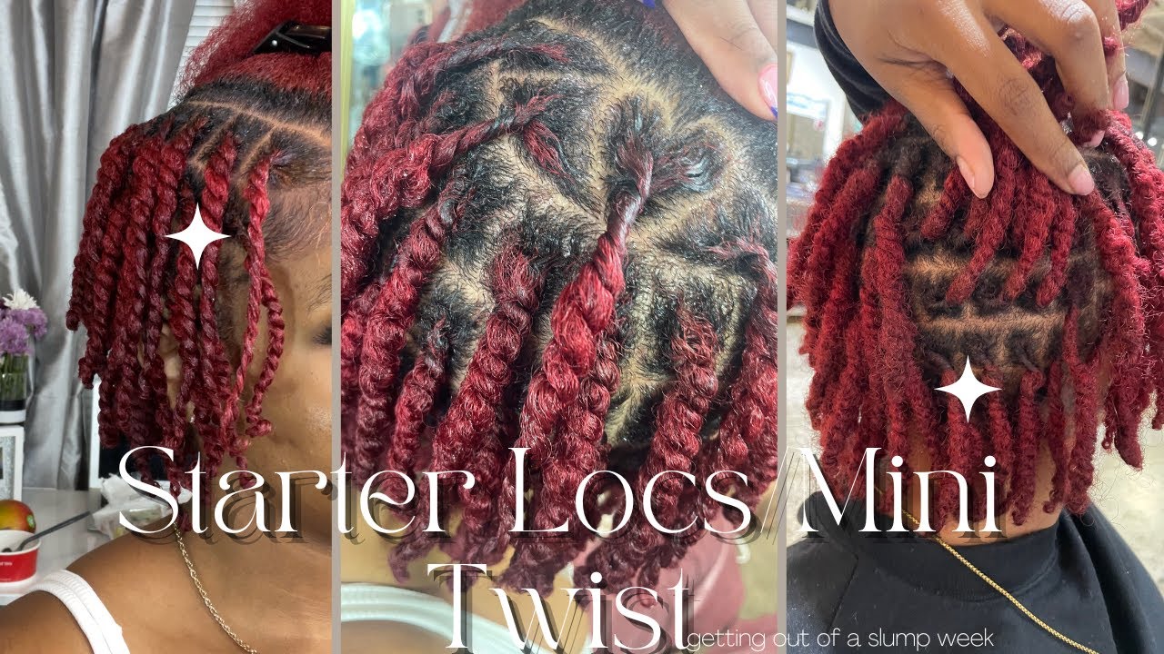 DIY STARTER LOCS / MINI TWIST