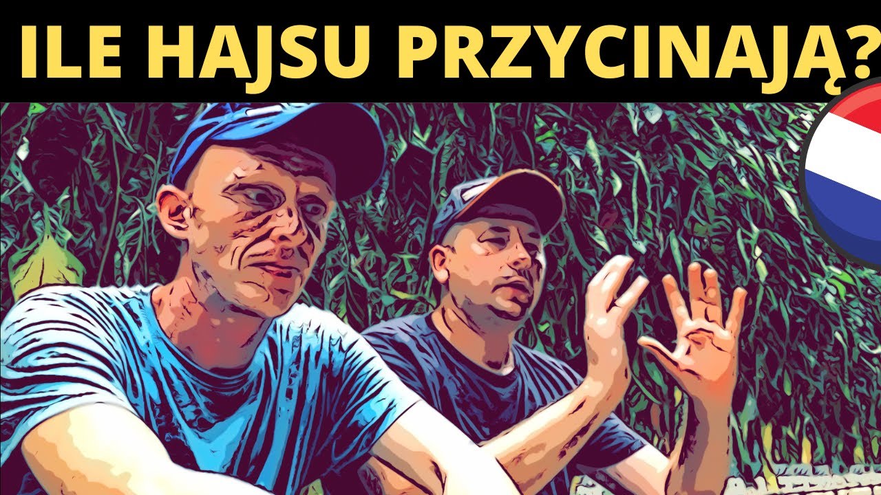 ILE I JAK ZARABIA NA TOBIE AGNECJA PRACY W HOLANDII