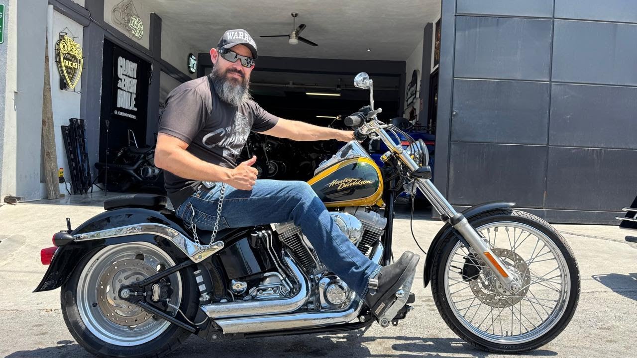 Motocicleta HARLEY DAVIDSON SOFTAIL STD 2006 en venta