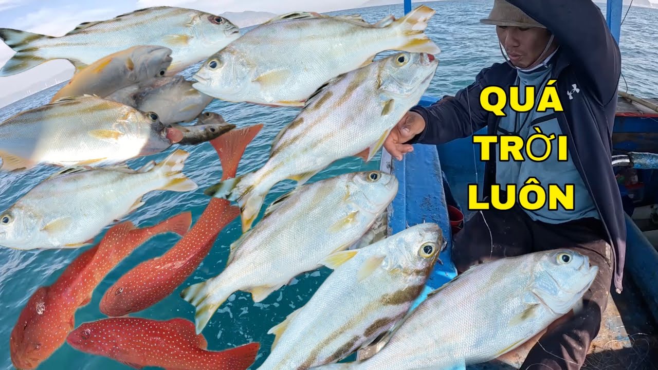 860 ) MAY MẮN TỚI GIỜ CUỐI LUÔN, BỮA CÂU NÀY, CHẮC BÉ MỪNG LẮM.