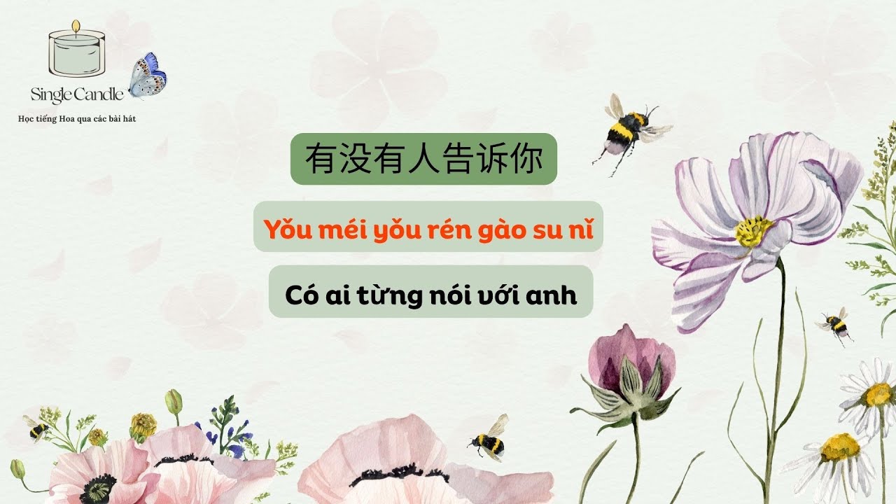 Yǒu Méi Yǒu Rén Gào Su Nǐ – Học bài hát Có Ai Từng Nói Với Anh có phiên âm và dịch nghĩa 有没有人告诉你