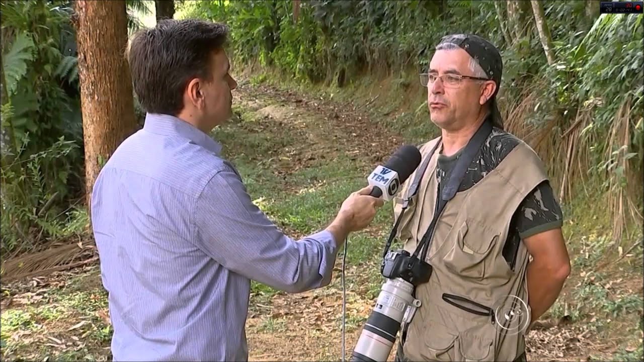 Tapiraí atrai observadores de pássaros de várias partes do país