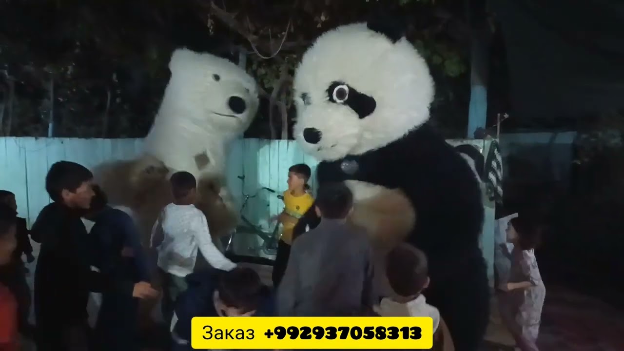 🐼🐻‍❄️ХИРСАКО як намуд ракс кард