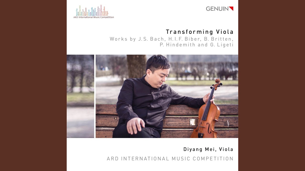 Violin Partita No. 2 in D Minor, BWV 1004: V. Chaconne (Performed on Viola)